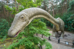 TORUŃ – MUZEUM PIERNIKA I PARK DINOZAURÓW