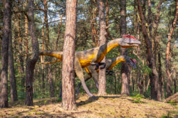 TORUŃ – MUZEUM PIERNIKA I PARK DINOZAURÓW