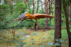 TORUŃ – MUZEUM PIERNIKA I PARK DINOZAURÓW